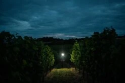 Ledlenser H7R Signature Stirnlampe H7R Signature Stirnlampe -Angebote Abenteuer Set Store ledlenser h7r signature 502197 trailrunner3bQOFJYJw0kgIz 1280x1280