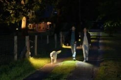 Ledlenser P7R Core Taschenlampe P7R Core Taschenlampe -Angebote Abenteuer Set Store ledlenser p7r core 502181 home lifeWZQiU9DWwooMX 1280x1280