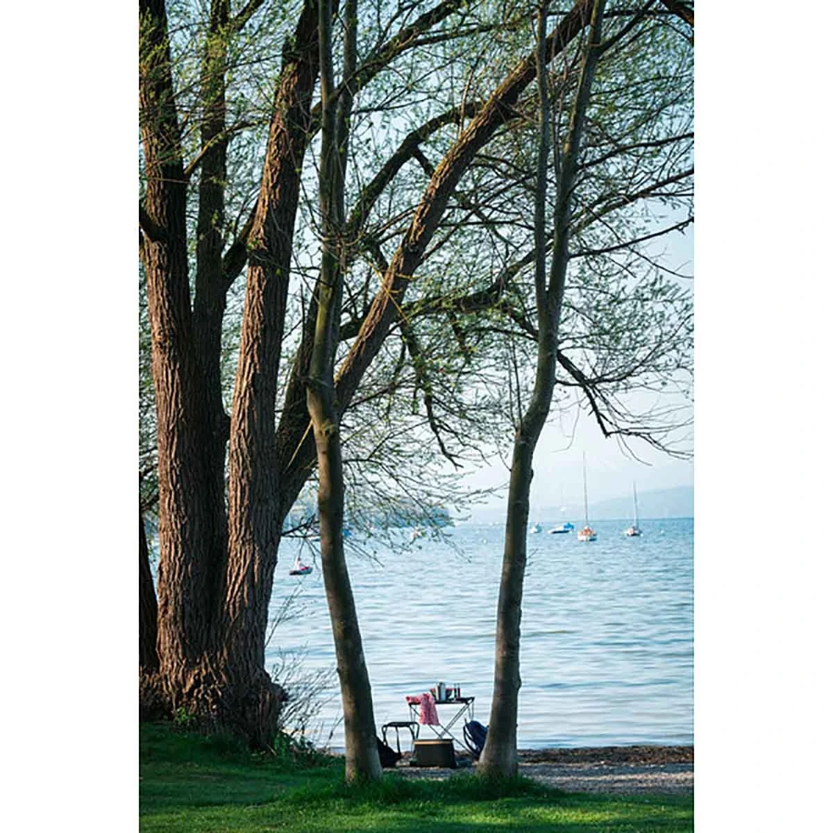 Primus Campfire Table Campfire Table 6 Primus Campfire Table Campfire Table – Bild 4